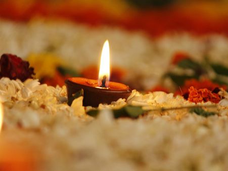 ৫. শুকিয়ে যাওয়া ফুল নৈব নৈব চ: