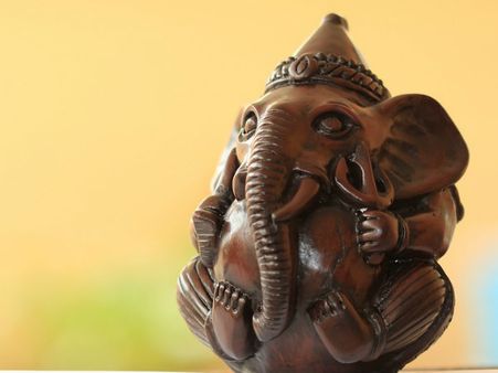 ৫. শুঁড় যখন একেবারে সোজা: