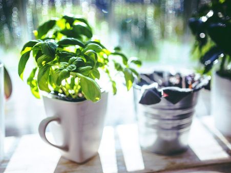 ৫.ত্বকের রোগের প্রকোপ কমায়: