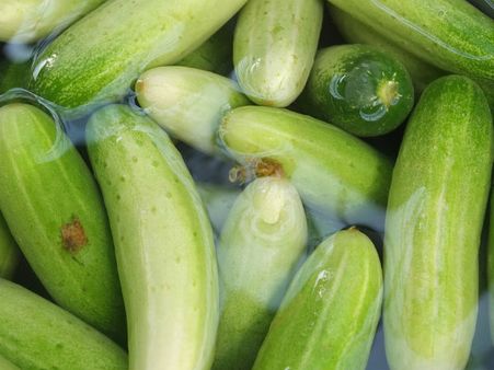 ৬. খনিজের ঘাটতি মেটে: ৬. খনিজের ঘাটতি মেটে: