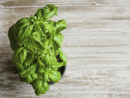 ৬. পাপের শাস্তি পাওয়া থেকে রক্ষা মেলে: