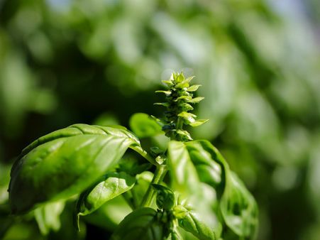 ৭. কুদৃষ্টির খারাপ প্রভাব থেকে রক্ষা মেলে: