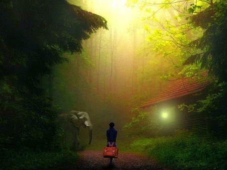 ৭. জঙ্গলে হারিয়ে গেছেন: