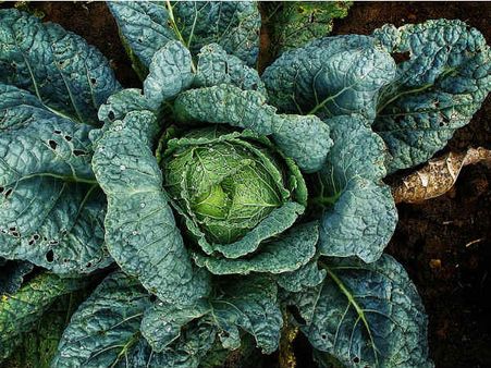 ৭. ভিটামিনের ঘাটতি দূর হয়: