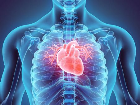 ৯. হার্টের কর্মক্ষমতা বাড়বে: