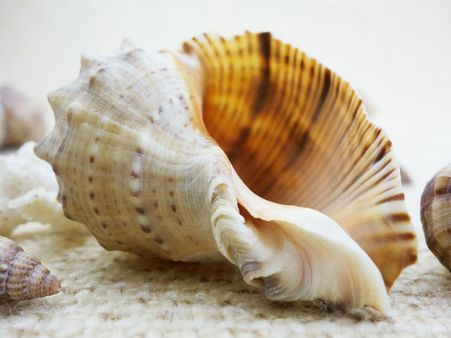 ১. চোখ,কান এবং নাকের জন্য উপকারি এক্সারসাইজ: