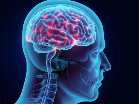 ২.এপিলেপসির মতো রোগকে দূরে রাখে: