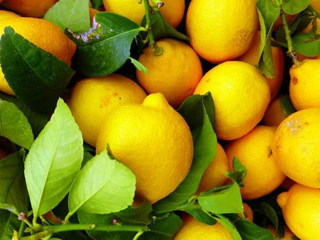 ২. খারাপ কোলেস্টেরলের মাত্রা কমায়: