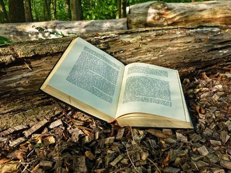 ২. মনোযোগ ক্ষমতার উন্নতি ঘটে: