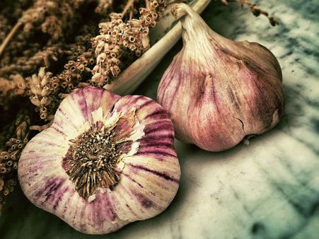 ৩. রক্তকে পরিশুদ্ধ করে: