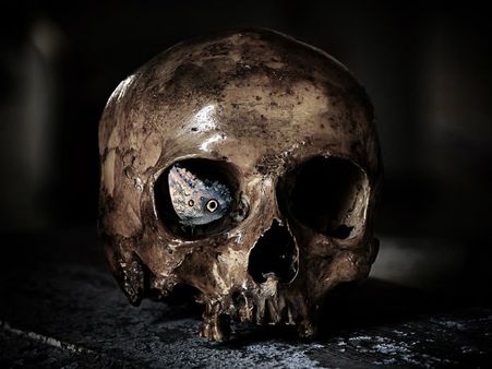 ৩. ভয়কে চিনুন: