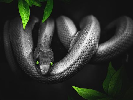 ৩. মনের ইচ্ছা পূরণের সময় এসে গেছে: