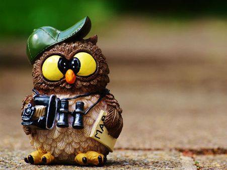 ৩. ভায়োলেট রঙের প্যাঁচা: