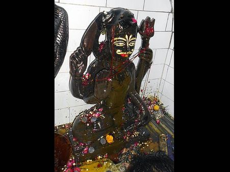 ২. অশ্বত্থ গাছের পুজো করতে হবে: