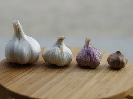 ৪. হাড়ের স্বাস্থ্যের উন্নতি ঘটে: