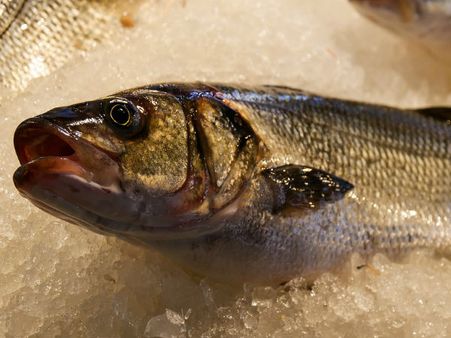 ৪. ওমেগা থ্রি ফ্যাটি অ্যাসিড: 