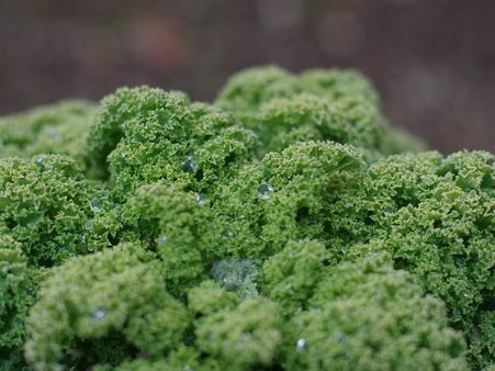 ৪. কেলে শাক: