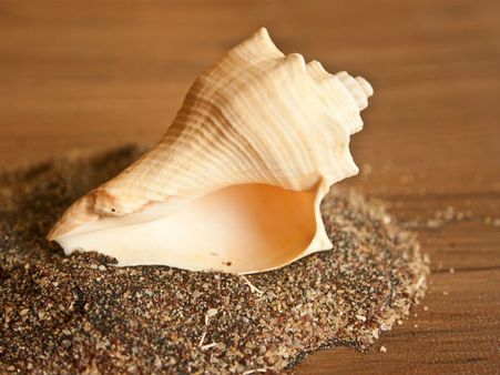 ৫. শরীরে একাধিক পেশির কর্মক্ষমতা বৃদ্ধি পায়: