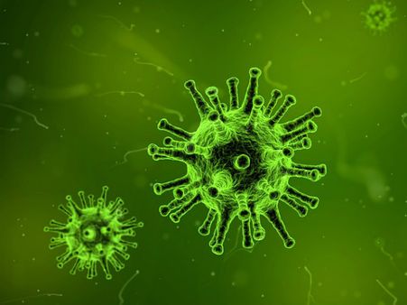 ৬. ক্ষতিকর ব্যাকটেরিয়ার হাত থেকে মুক্তি মেলে: