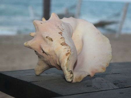 ৯. রেকটাল মাসলের কর্মক্ষমতা বাড়ে: