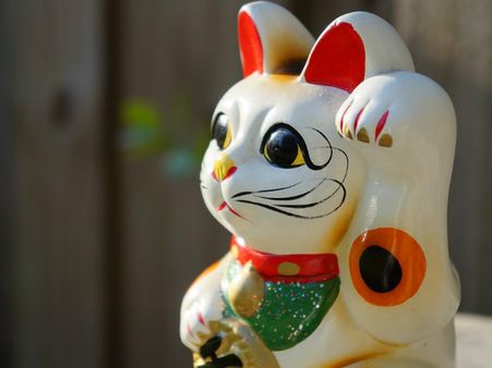 ২. বেকনিং ক্যাট: