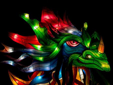 ৩. চাইনিজ ড্রাগন: