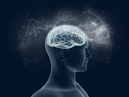 ১০. থাইম গুল্ম: