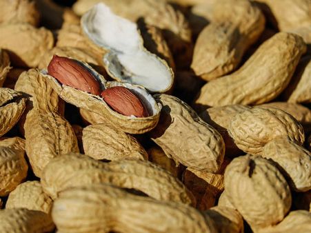 ১. বাদাম: