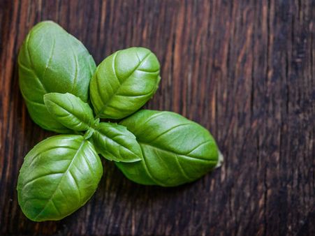 ১. তুলসি: