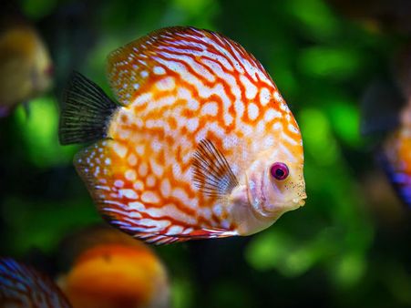 ১. পজেটিভ এনার্জির মাত্রা বাড়তে শুরু করে: