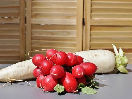 ১০. অ্যাস্থেমার প্রকোপকে নিয়ন্ত্রণে রাখে: