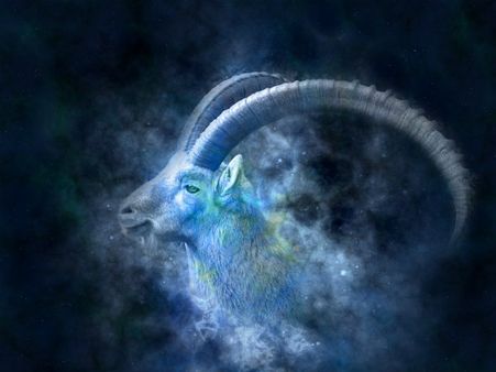 ১০.মকররাশি: