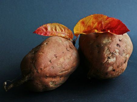 ১১. হাড়ের রোগকে দূরে রাখে: