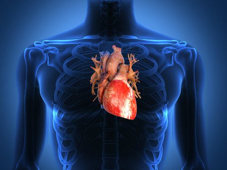 ২. হার্টের স্বাস্থ্যের উন্নতি ঘটে: