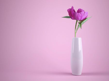 ২. কালার 