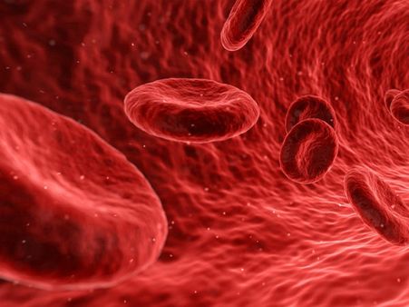 ৩. রক্তের বিভাগ: