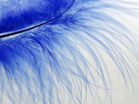 ৩. কালার 