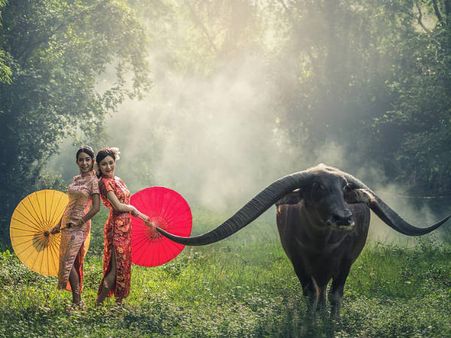 ৫. মহিষের মূর্তি: