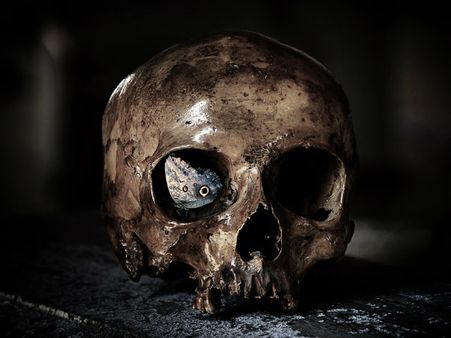 ৪. সিনেমার প্রভাব: