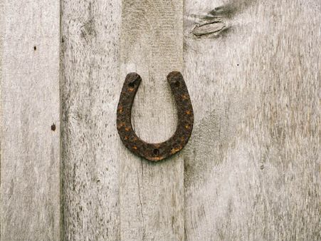 ৪. ঘোড়ার খুরের নাল: