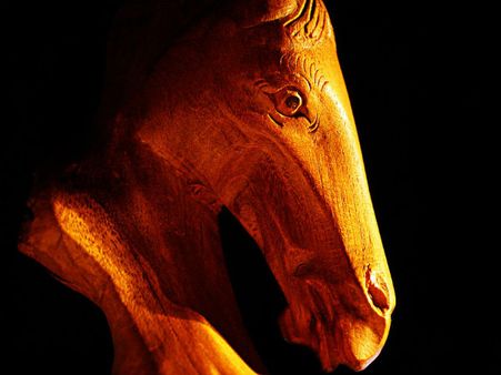 ৬. লাল ঘোড়া: