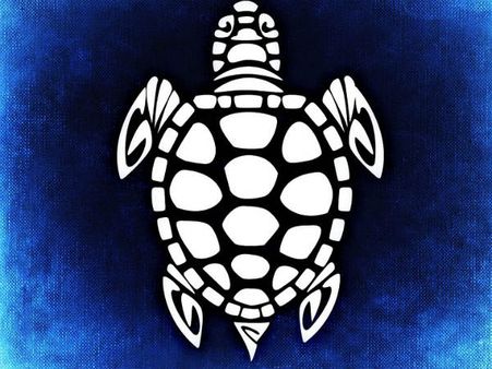 ৫. তামার কচ্ছপ: