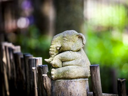 ৭. রাহু দোষ কাটাতে: