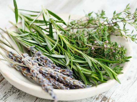 ৬. রোজমেরি: