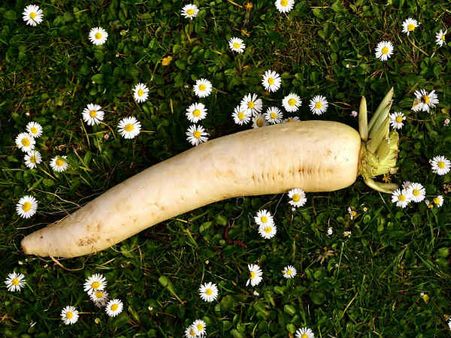 ৭. এনজাইমের ঘাটতি দূর করে: