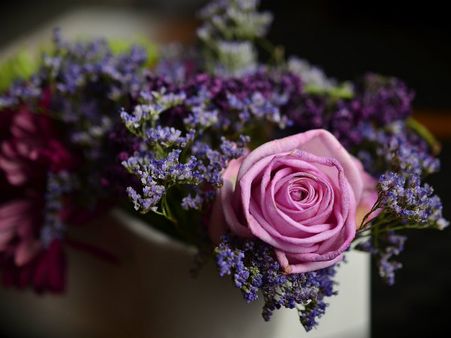 ৭. ফুলের মহিমা: