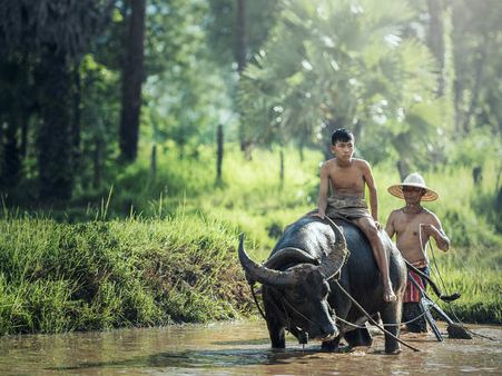 ৭. কৃষকের স্বপ্ন: