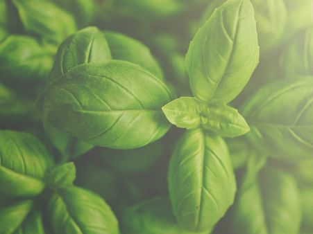 ৪. বাড়ির পূর্ব দিকের স্থান: