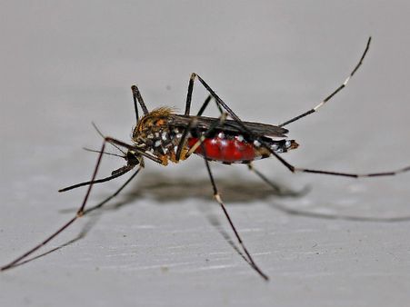 ৮. বেশি মাত্রায় খেলা-ধুলো করলে: