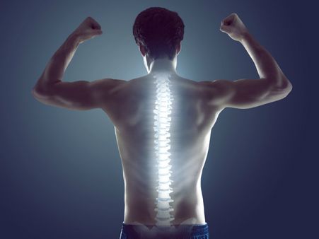 ৯. হাড়ের জন্য খুব উপকারি: